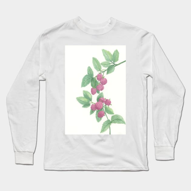 Raspberries Long Sleeve T-Shirt by wynbre